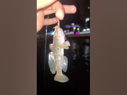 Черноморский Бычок #shorts #fishing #trending - YouTube