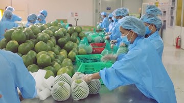 Năm 2025, mục tiêu xuất khẩu rau quả đạt 8 tỷ USD