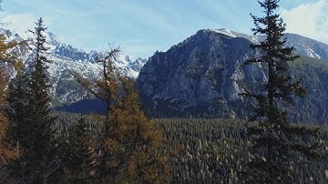 سورة المسد Surat Al Masad | ناصر القطامي Nasser Al Qatami