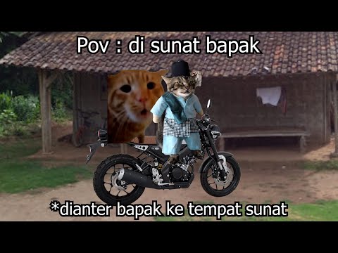 Pov : di sunat bapak | meme kucing 🤣 18