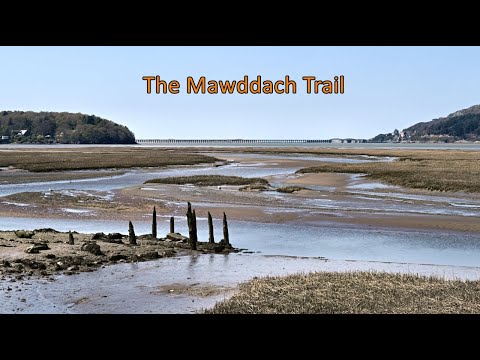 Walking Wales - The Mawddach Trail