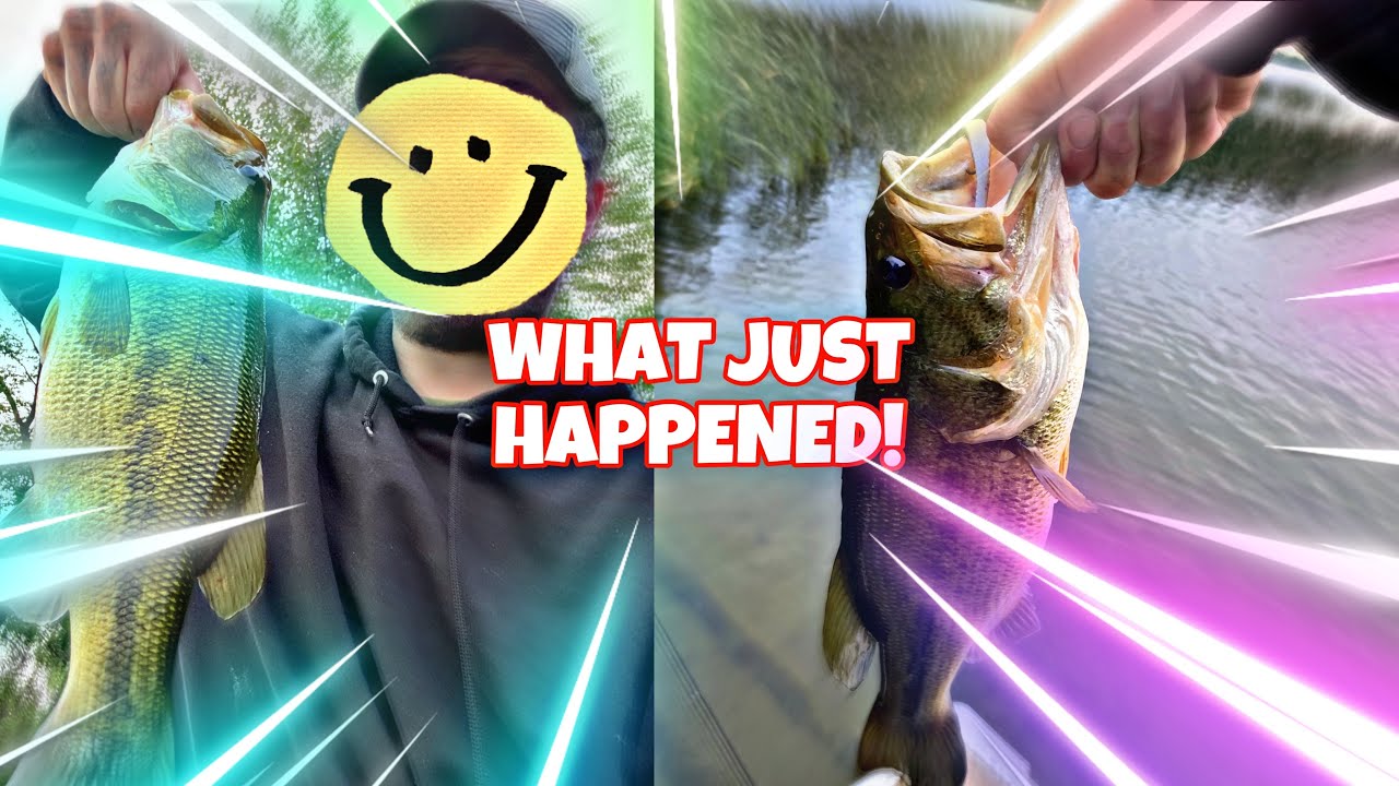 WHAT JUST HAPPENED! (Bass Fishing 🎣)