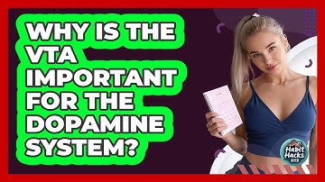 Why Is The VTA Important For The Dopamine System? - Habit Hacks Hub
