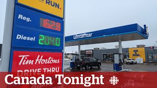 Carbon tax backed by studies and data, says economist | Canada Tonight