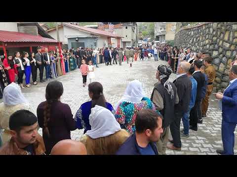 KOMA ÖZGÜN -