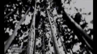 Umi no Shizuku unofficial PV