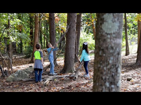 Inside The Woods at Greensboro Montessori School