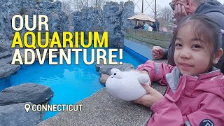 Full Day at Mystic Aquarium | All Exhibits Explored