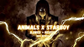 Animals x Starboy | Slowed + Reverb | Sick Nitrox