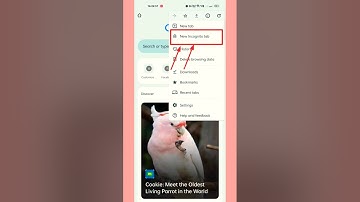 How to Turn Enable Incognito Mode || Incognito Mode On Kaise Karen ||#shorts#viral#incognito