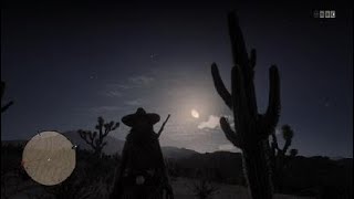 Red Dead Redemption 2 puma hunting