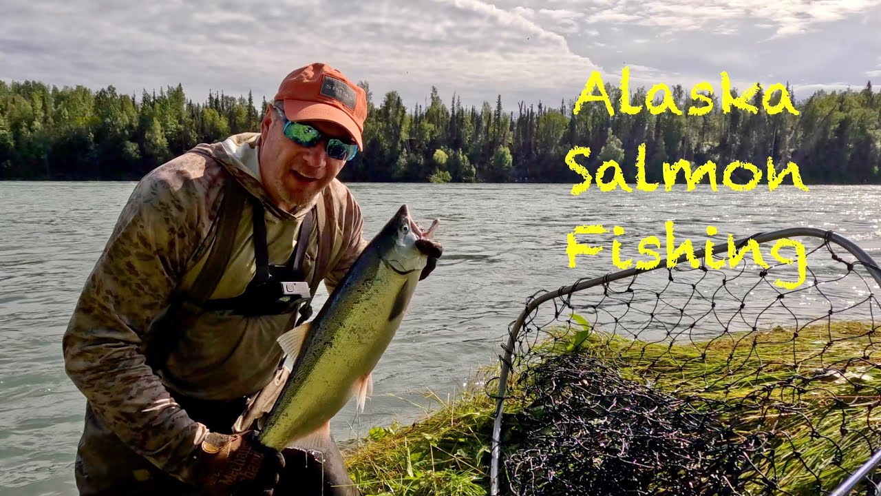 An Epic Day of Nonstop Sockeye Salmon