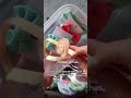 Arma el bolso de tu hija para las vacaciones en menos de 1 minuto.