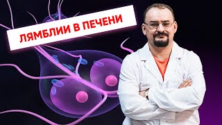 картинка: Лямблии в печени.