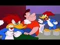 Pica-Pau Chegou Primeiro! | Pica-Pau em Português