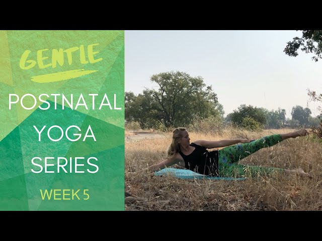 Week 5 GENTLE Postnatal Yoga/ Pilates- Weekly Series Postpartum Strengthening for C-section Recovery class=