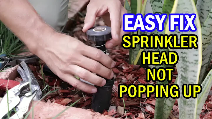 How to Fix Sprinkler Head Not Popping Up Easy Step by Step