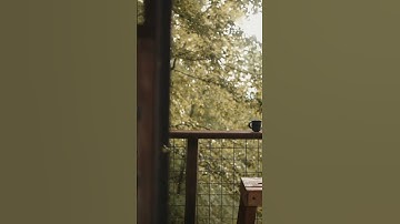 Life Reset Notion Template ✨ Self-Care Pillars