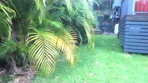 Nerf Vortex Praxis Range Test