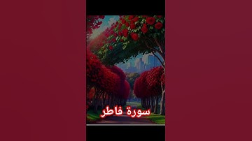 سورة فاطر #quran #دويتو #duet #دعاء #صباحالخير #تيك_توك #دعاءمستجاب #حالات_واتس #حالاتواتس