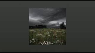 𝙖 𝙧𝙖𝙞𝙣𝙮 𝙙𝙖𝙮: 𝙖 𝙥𝙡𝙖𝙮𝙡𝙞𝙨𝙩 𝙛𝙤𝙧 𝙬𝙝𝙚𝙣 𝙞𝙩'𝙨 𝙧𝙖𝙞𝙣𝙞𝙣𝙜 🌧️🩶