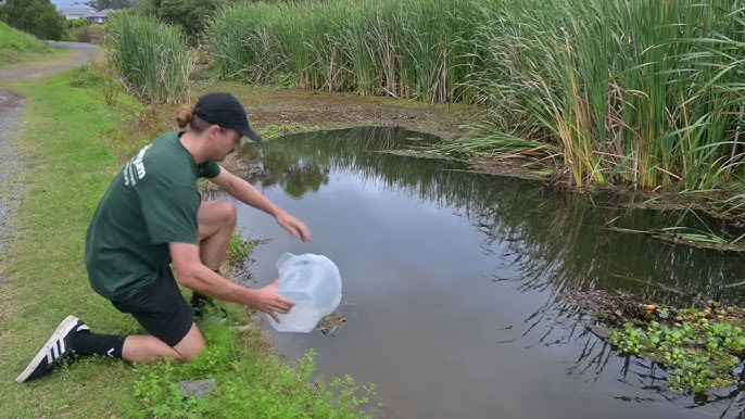 The TOADINATOR Cane Toad Trap Instructional Video 