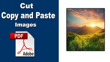 How to Cut, Copy and Paste Images in a PDF File with Adobe Acrobat Pro 2020