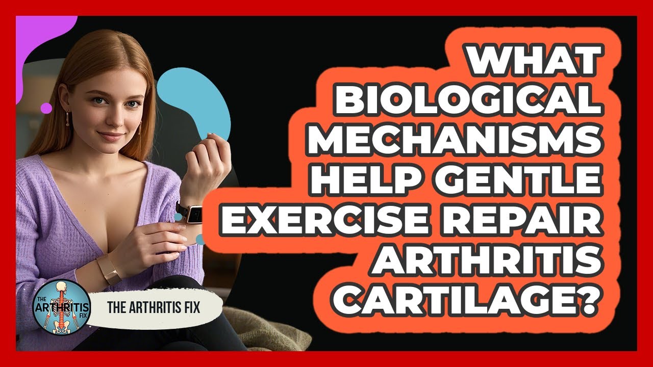 What Biological Mechanisms Help Gentle Exercise Repair Arthritis Cartilage? - The Arthritis Fix