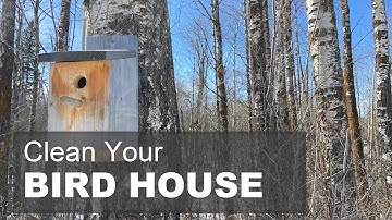 Clean your BIRDHOUSE
