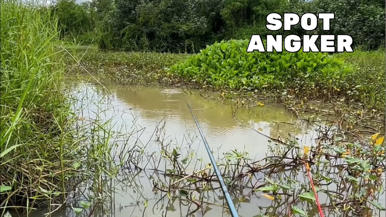 Mancing Disini Sampai Lupa Rasanya Dapat Ikan Kecil!