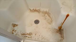 Abundant Care CCS @ Heron Pointe Grand Island, NY (DGA / RANE Management Project)