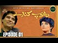 Dhoop Kinaray - Episode 01 [Urdu Drama]