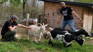 The Whole Crew's Loose At Shady Acres!