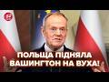 😮ТАКОЇ ЗАЯВИ від Польщі НЕ ЧЕКАЛИ! Туск УВІРВАВСЯ з РЕАКЦІЄЮ на ПЕРЕГОВОРИ. Ці СЛОВА НАЛЯКАЛА Кремль