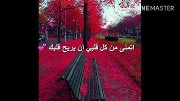 القارئ احمد السويلم | سورة الجاثية | آية (٢١-٣٧)