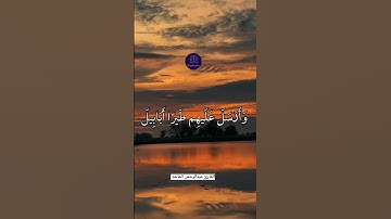 سورة الفیل القارئ عبدالرحمن الماجد