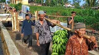 Wow Luar Biasa Pernikahan Viral Bawa Sapi Idaman Semua Wanita Di Kampung Kersamanah Garut