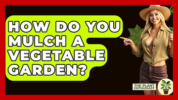 How Do You Mulch A Vegetable Garden? - The Plant Enthusiast