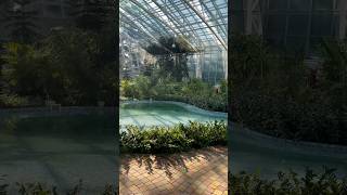 #успех #любовь #сила #вдохновение #цель #жизнь #цитаты #мудрость #природа #мудрыеслова #мудрыемысли