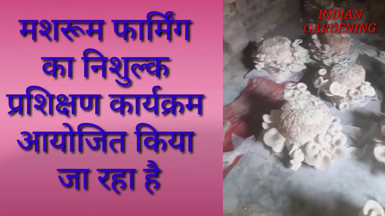 Oligarxlarning xotinlari: jinsiy aloqa va erotika Sperma izlarini genotiposkopik tekshirish