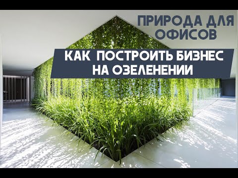 КАК ОТКРЫТЬ БИЗНЕС НА ОЗЕЛЕНЕНИИ. Стены из растений в офисы и не только!