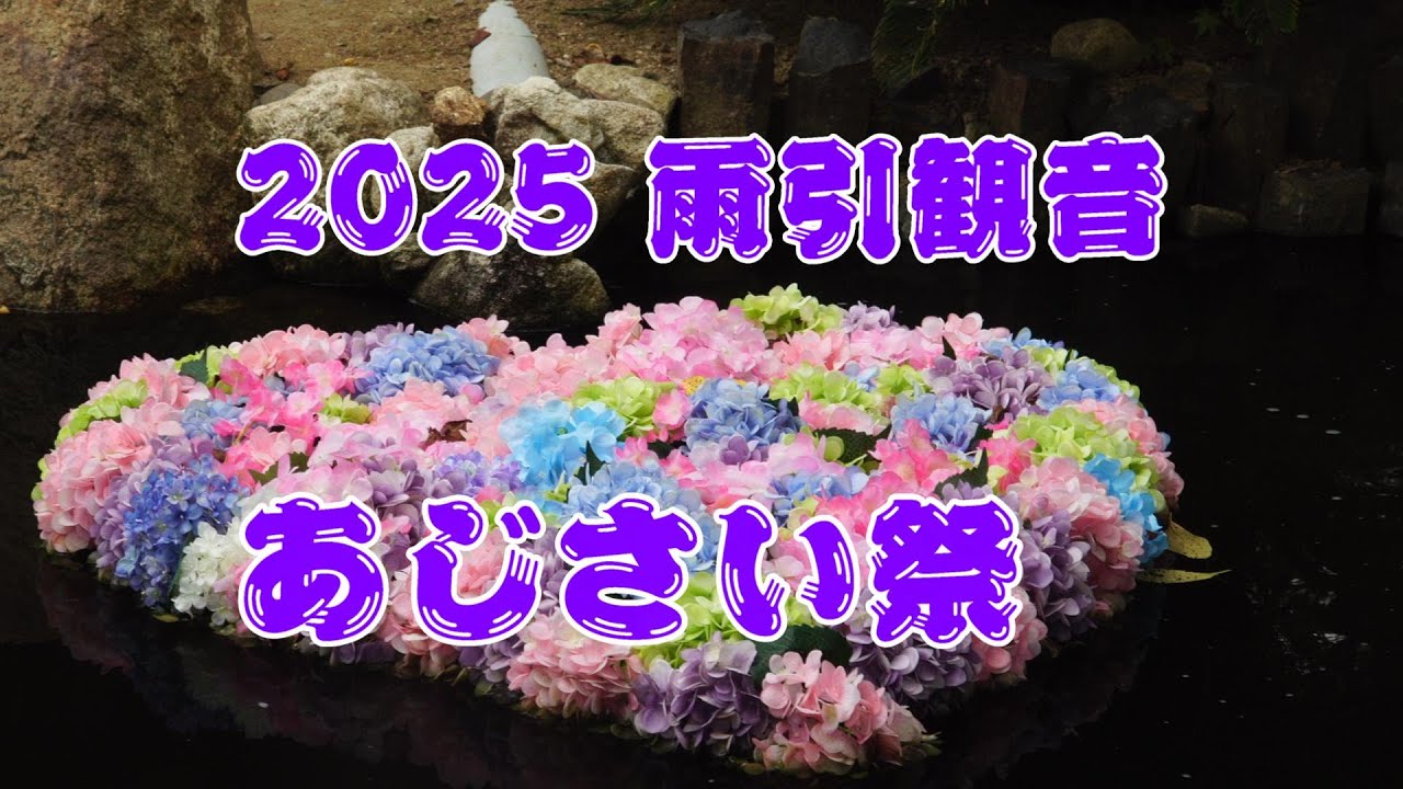 2025 雨引観音あじさい祭 Amabiki kan'non Hydrangea festiva - YouTube