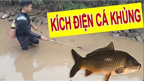 BẤT NGỜ KÍCH ĐƯỢC CÁ "KHỦNG" TẠI MƯƠNG BỎ HOANG | Video creat by Nhị Lang TV
