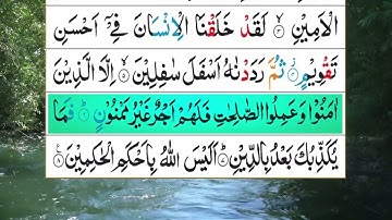 Surah At-Tin (The Fig) | سورة التين | Sheikh Mishari Rashed al-`Afasy | Highlight Verse