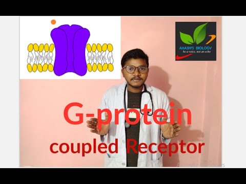 G-protein coupled receptor/ cAMP signalling / phospholipase signalling