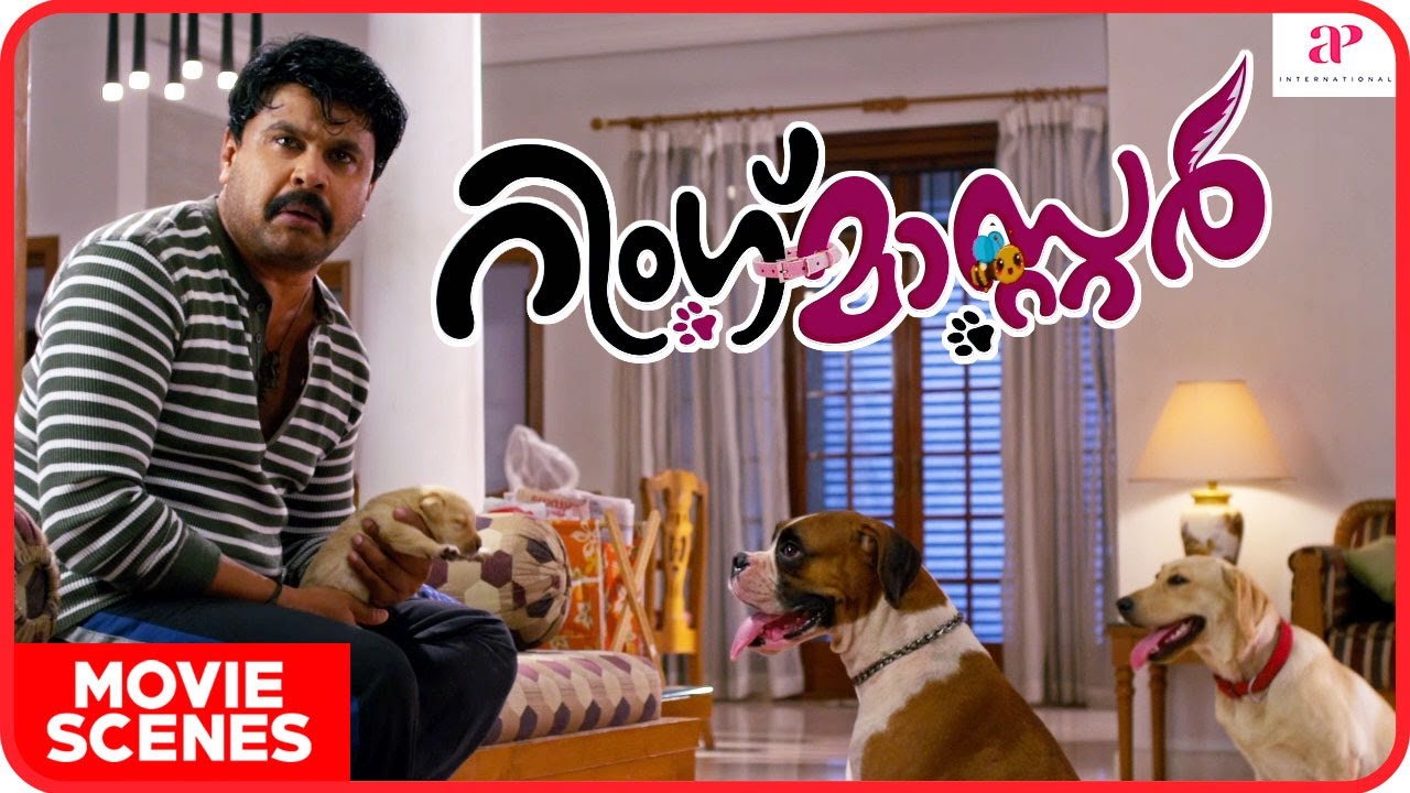 Arnav Vijay Meets The Cutest Dog Simba | Oh My Dog | Amazon Prime Video -  YouTube