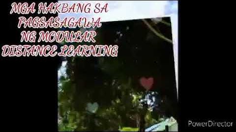 DRY RUN Modular Distance Learning SAN QUINTIN CENTRAL SCHOOL