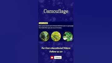 Camouflage | Animal Camouflage | Animal Adaptations | Science #shorts