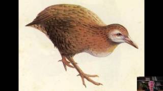 Data Mining with Weka (1.1: Introduction)