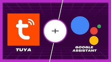 Smart Home with Tuya Devices. Also integration with Google Assistant? - Does it work?